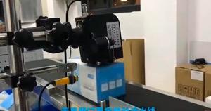 Egret Earloop Face Mask Auto Packing Machine
